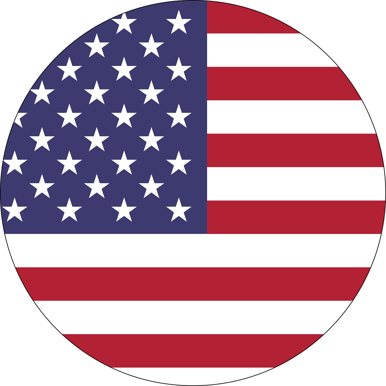 USA Icon